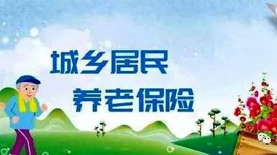 窑淮人社中心：进村入户开展城乡居保稽核工作