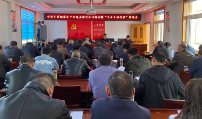 中坝乡召开平安建设“五个专项行动”推进会