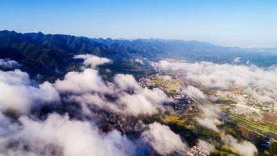 时政微周刊丨总书记的一周（3月8日—3月14日）