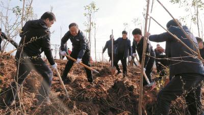 房县开展全民义务植树活动   共建绿色家园