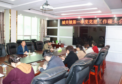城关镇召开第一季度党建工作碰头会
