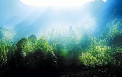 “病秧儿”大姐病有所医