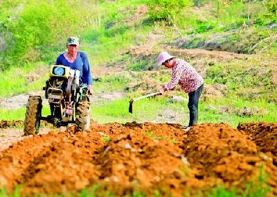 房县：抢抓播种好时机，壮大生物医药产业