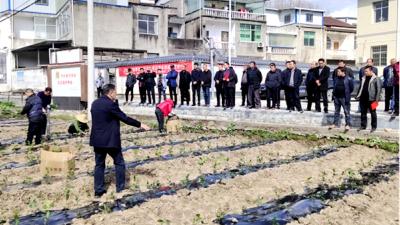 窑淮镇茶叶产业拉练激活乡村振兴源动力