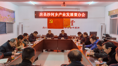 沙河乡召开乡村振兴现场观摩会