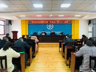 城关镇财政所：开展“庆三八  学党史”活动