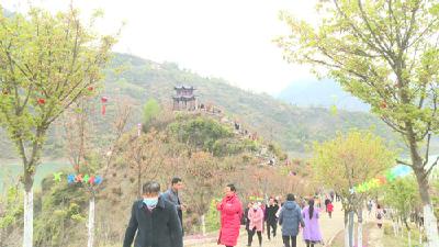 姚坪乡：樱花岛盛大开园 引得四方游客纷至沓来