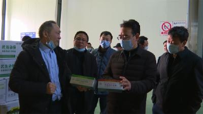 王晓来我县调研工业商贸经济发展情况