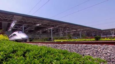 创业创新巾帼力量