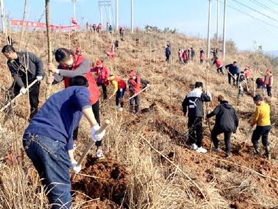 城关镇：春风好借力 植绿正当时