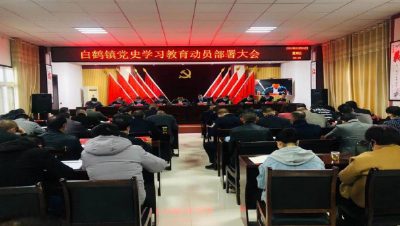 白鹤镇召开党史学习教育动员部署大会