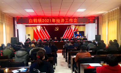 白鹤镇召开2021年经济工作会议