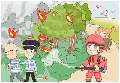 应急科普丨春季山火高发！这些森林防火常识要知道