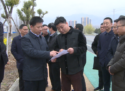 纪道清督导西商农产品物流园项目建设工作