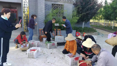 小庭院为乡村振兴开好局 —军店镇发展庭院果蔬经济实记