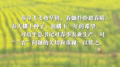 自习课 | 习近平：天道酬勤 力耕不欺