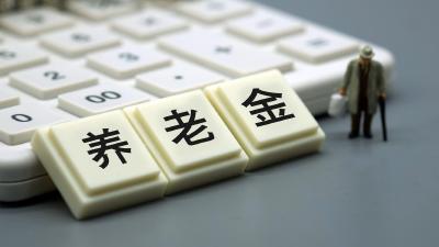 大木厂镇人社中心：扎实推进城乡居保工作