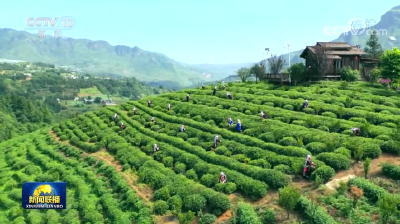 野人谷镇着力打造生态宜居美丽乡村