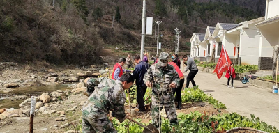 万峪河乡植树造林  造福群众