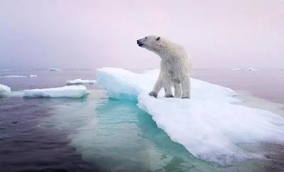 中央财经委会议提到两个词，事关一场大考