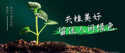 房县自然资源和规划局：植树一小步、生态修复一大步