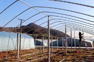 化龙堰镇：围绕建设“4个万亩” 打造果蔬名镇