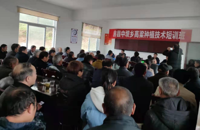 中坝乡开展高粱种植技术培训
