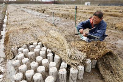 房县：节水工程化解农民增收“困局”