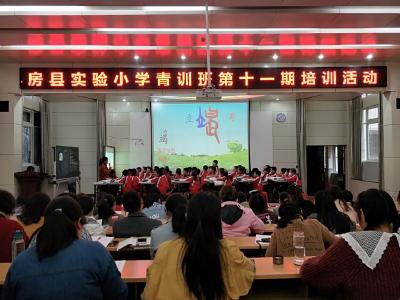 县实验小学：在学习中提升，在分享中成长