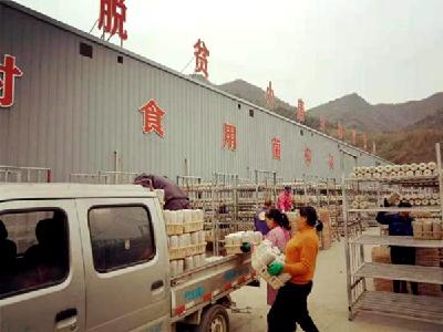 土城镇： 以产业发展，助乡村振兴