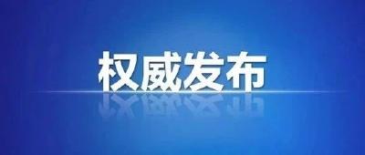 全县“五一”假期“保安全、保稳定、保畅通”视频会召开