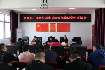 县委第三巡察组巡察县医疗保障局党组反馈会召开