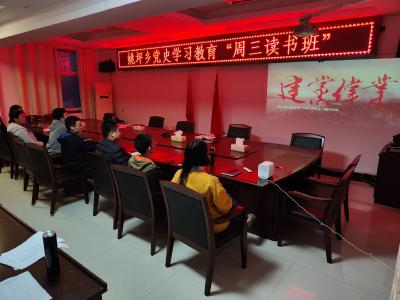 姚坪乡：党史学习教育“周三读书班”集中观看《建党伟业》
