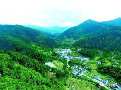 我为群众办实事｜审执延伸，润“企”细无声