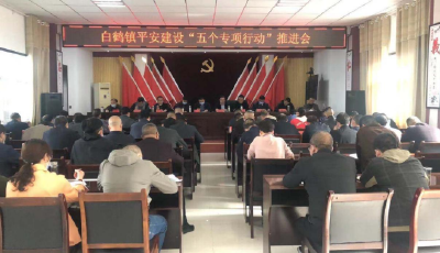 白鹤镇召开平安建设“五个专项行动”暨当前重点工作推进会