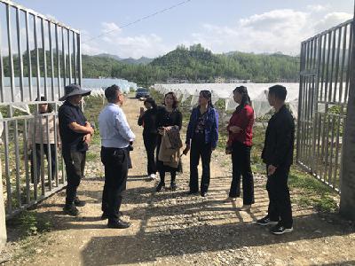 省妇联、省卫健委来房调研农村妇女“两癌”免费检查工作  