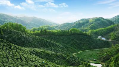 窑淮镇东沟村“共同缔造”新篇：众志成城筹建民心工程