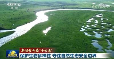 【新征程开局“十四五”】保护生物多样性 守住自然生态安全边界