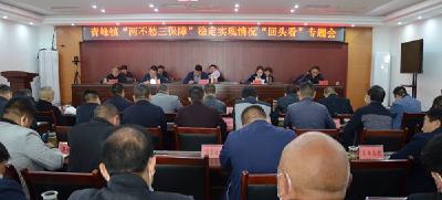 九道乡安排部署“两不愁三保障”稳定实现情况“回头看”工作