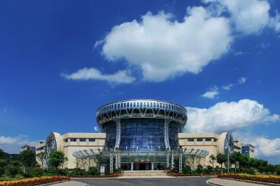 鉴往知来丨跟着总书记学历史：这座民族博物馆，道尽一部“壮”史