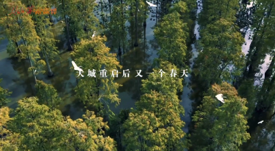 大城重启一周年，看浴火重生的武汉