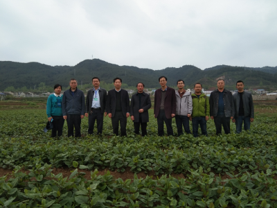 省市科技特派员在房县开展科技服务活动