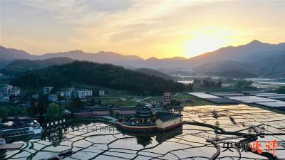 【央视快评】巩固拓展脱贫攻坚成果 全面推进乡村振兴 