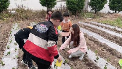 西蒿小学课外劳动课