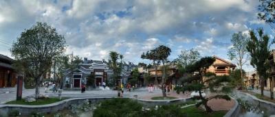 白鹤镇：打好组合拳 筑牢平安防线