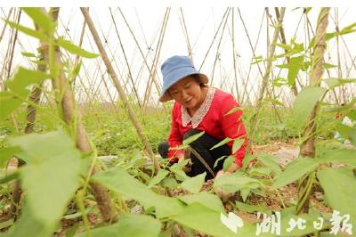 房县节水工程促农增收