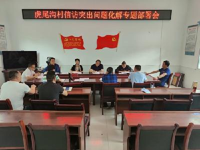 丁杰到姚坪乡督导“五个专项行动”工作 