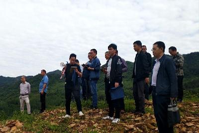 县林业局开展森林资源督查中期外业调查培训