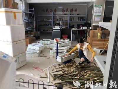 房县万峪河乡“村村通快递”引领村民生活新方式