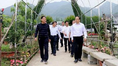 蔡贤忠到城关镇三海村调研乡村振兴示范村规划建设工作